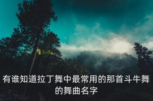 有谁知道拉丁舞中最常用的那首斗牛舞的舞曲名字