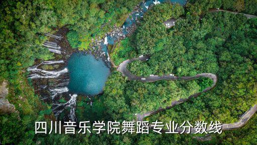 四川音乐学院舞蹈专业分数线