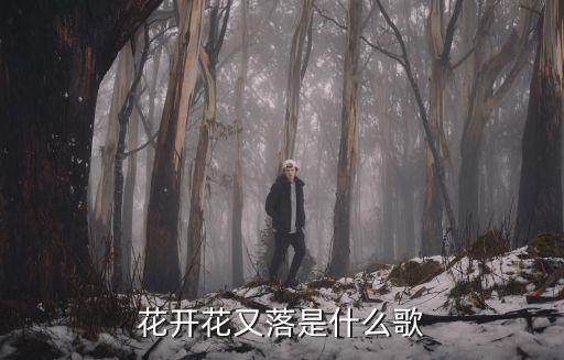 花开花又落 风霜雨雪是什么歌，花开花又落是什么歌