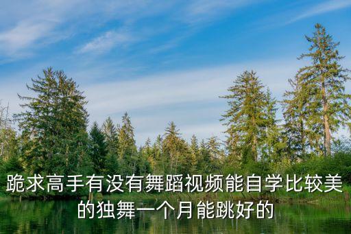 跪求高手有没有舞蹈视频能自学比较美的独舞一个月能跳好的