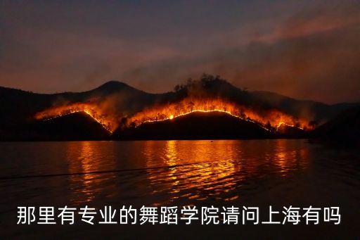上海舞蹈学院在什么路，那里有专业的舞蹈学院请问上海有吗
