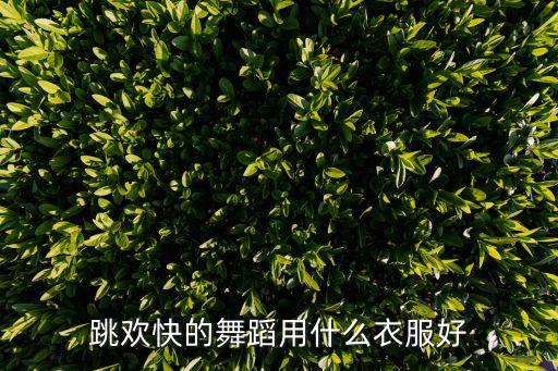 舞蹈练功服装大全，舞蹈服装 有哪些品牌 比较好的啊