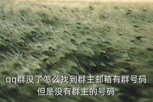 qq群没了怎么找到群主邮箱有群号码但是没有群主的号码