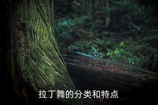 拉丁舞的分类和特点