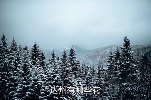 达州有哪些花