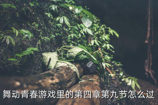 舞动青春游戏里的第四章第九节怎么过