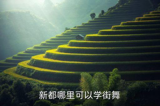 新都哪里可以学街舞