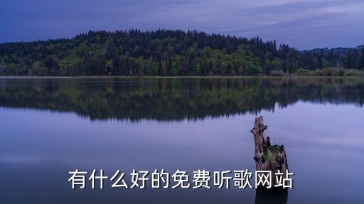 有什么好的免费听歌网站