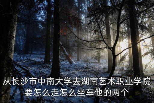 长沙中南艺术职业学校新校区，从长沙市中南大学去湖南艺术职业学院要怎么走怎么坐车他的两个