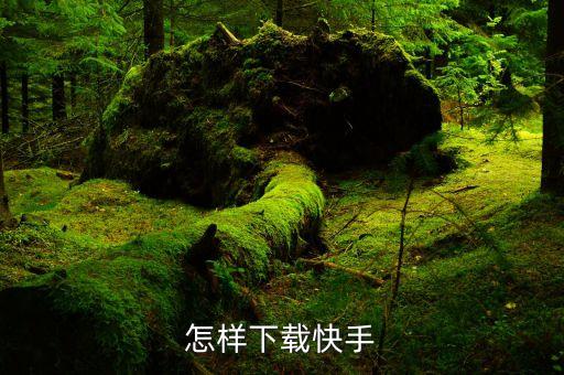 怎样下载快手