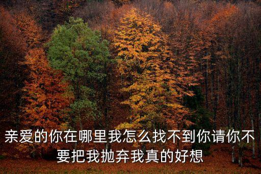 亲爱的你在哪里我怎么找不到你请你不要把我抛弃我真的好想