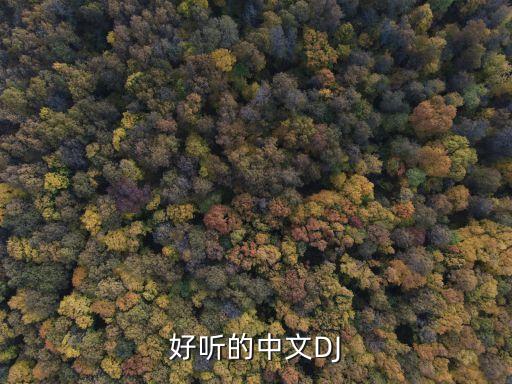 青青世界广场舞dj版大全，DJ舞曲和歌曲