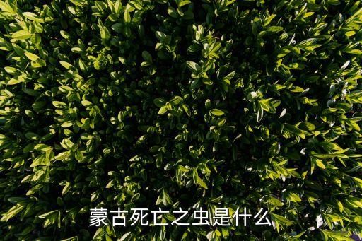 蒙古死亡之虫是什么