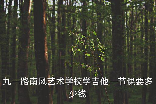 九一路南风艺术学校学吉他一节课要多少钱