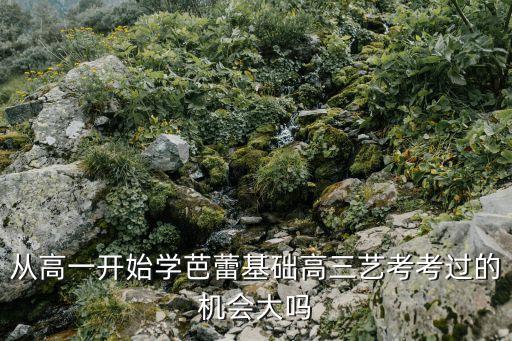 从高一开始学芭蕾基础高三艺考考过的机会大吗