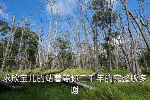 求欣宝儿的站着等你三千年的完整版多谢