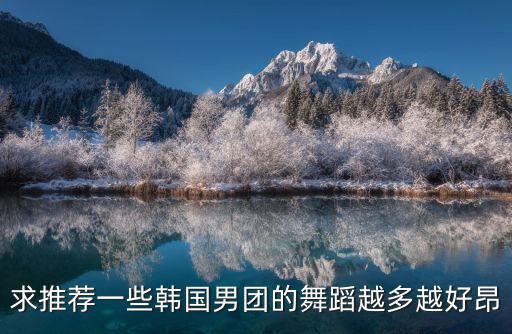 求推荐一些韩国男团的舞蹈越多越好昂