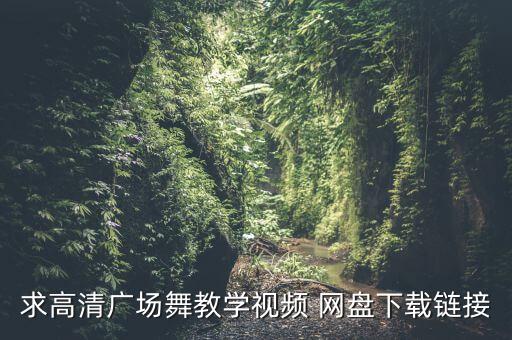 求高清广场舞教学视频 网盘下载链接