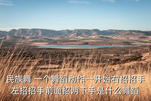 民族舞 一个舞蹈动作一开始右招招手左招招手前面招两下手是什么舞蹈