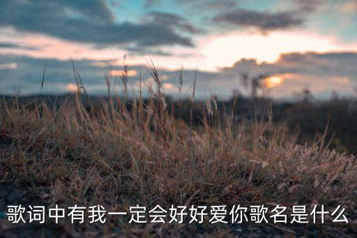 一定好好爱是什么歌，歌词中有歌名是什么