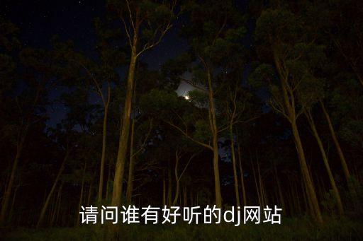 30dj串烧嗨嗨网，请问谁有好听的dj网站