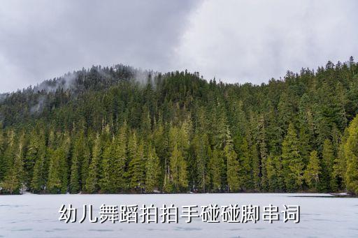 幼儿舞蹈拍拍手碰碰脚串词