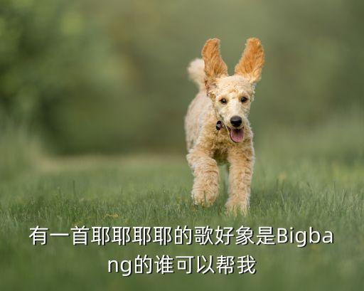 有一首耶耶耶耶的歌好象是Bigbang的谁可以帮我