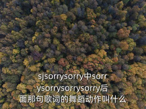 sjsorrysorry中sorrysorrysorrysorry后面那句歌词的舞蹈动作叫什么