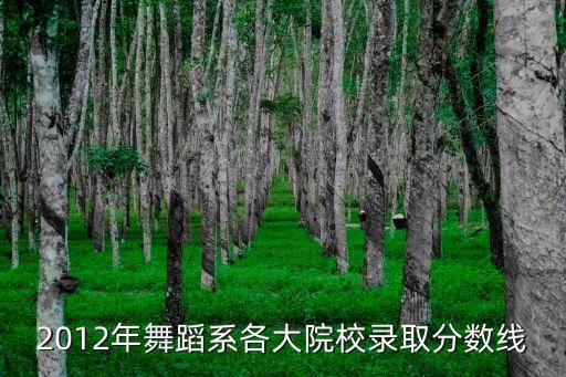 2012年舞蹈系各大院校录取分数线