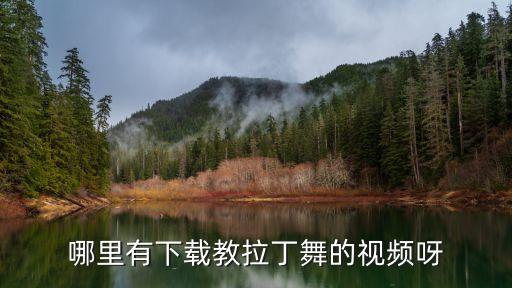 拉丁舞教程初学视频自学下载，请问在哪可以下载到拉丁舞基础舞步的教学视频