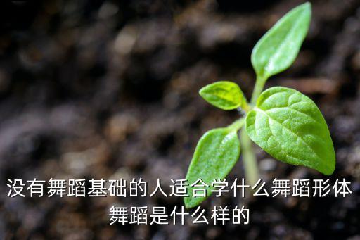 没有舞蹈基础的人适合学什么舞蹈形体舞蹈是什么样的