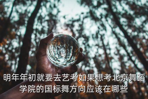 明年年初就要去艺考如果想考北京舞蹈学院的国标舞方向应该在哪些