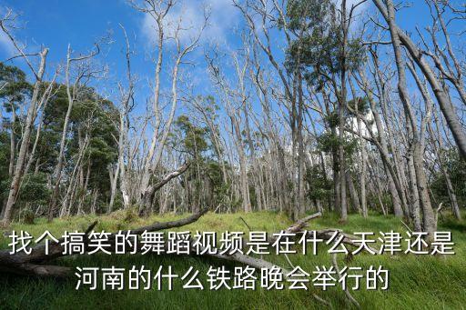 找个搞笑的舞蹈视频是在什么天津还是河南的什么铁路晚会举行的