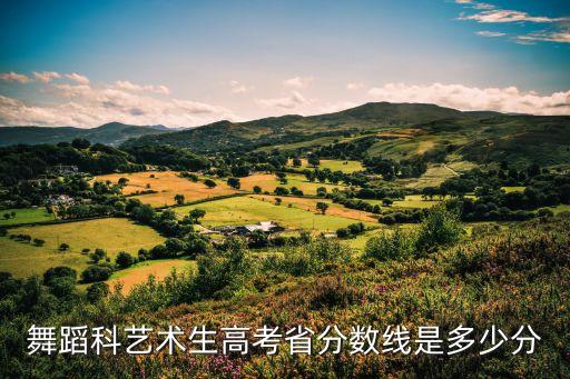 舞蹈科艺术生高考省分数线是多少分