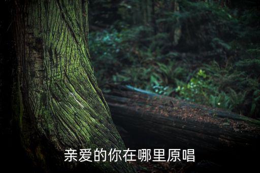 云裳广场亲爱的你在哪里，亲爱的你在哪里 称号怎么完成