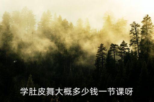 学肚皮舞大概多少钱一节课呀