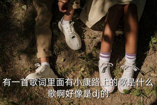 有一首歌词里面有小康路上的歌是什么歌啊好像是dj的