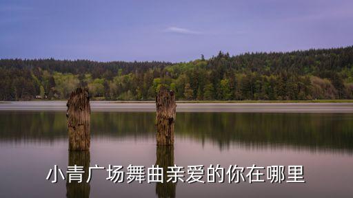 亲爱你在哪里厂广场舞，炫舞亲爱的你在哪里怎么获得