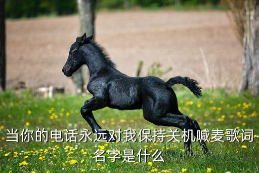 当你的电话永远对我保持关机喊麦歌词名字是什么