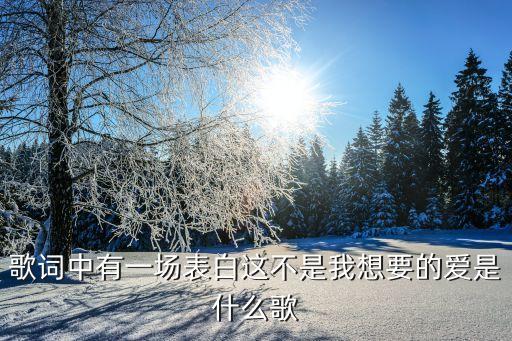 我想要的爱这是什么歌男人唱的，你的爱是我想要是什么歌