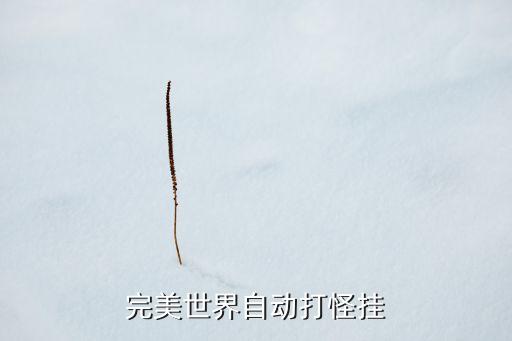 雪龙吟扇子舞服装，完美世界自动打怪挂