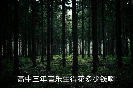 集训音乐生多少钱，成都高考音乐集训一般要多少钱