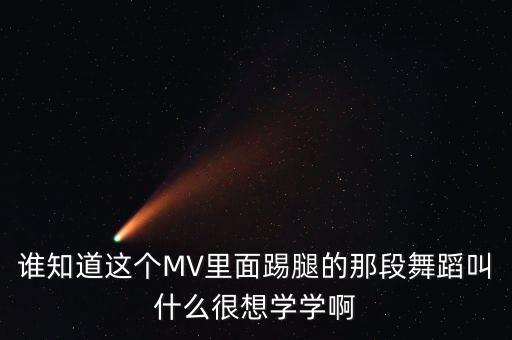谁知道这个MV里面踢腿的那段舞蹈叫什么很想学学啊