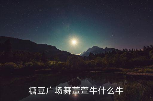 糖豆广场舞萱萱牛什么牛