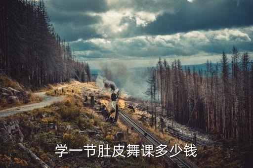北京学肚皮舞多少钱，学肚皮舞要好多钱一节课啊一般要学好久