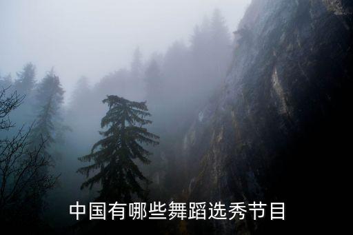 中国有哪些舞蹈选秀节目