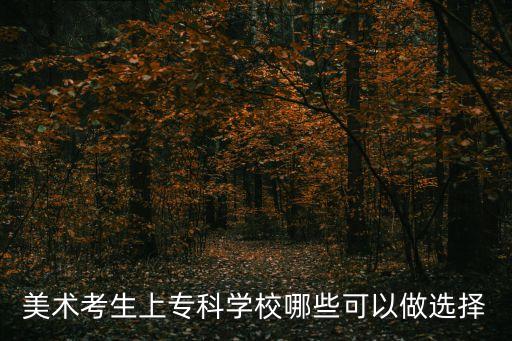 美术考生上专科学校哪些可以做选择