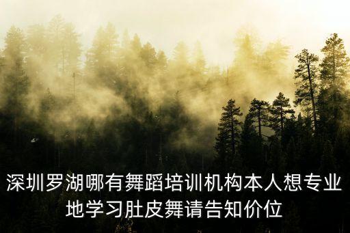 深圳罗湖哪有舞蹈培训机构本人想专业地学习肚皮舞请告知价位