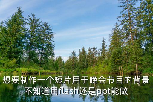 想要制作一个短片用于晚会节目的背景不知道用flash还是ppt能做