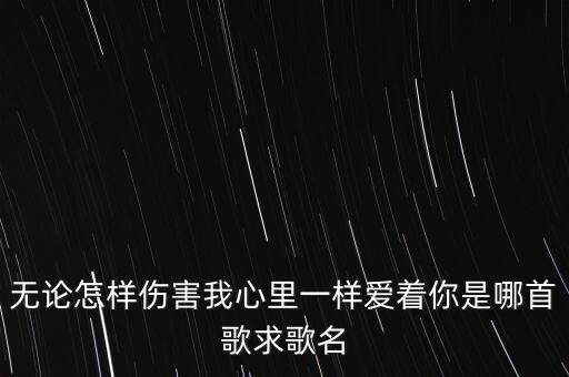 无论怎样伤害我心里一样爱着你是哪首歌求歌名